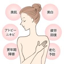 プラセンタ