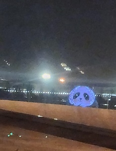 駐機場