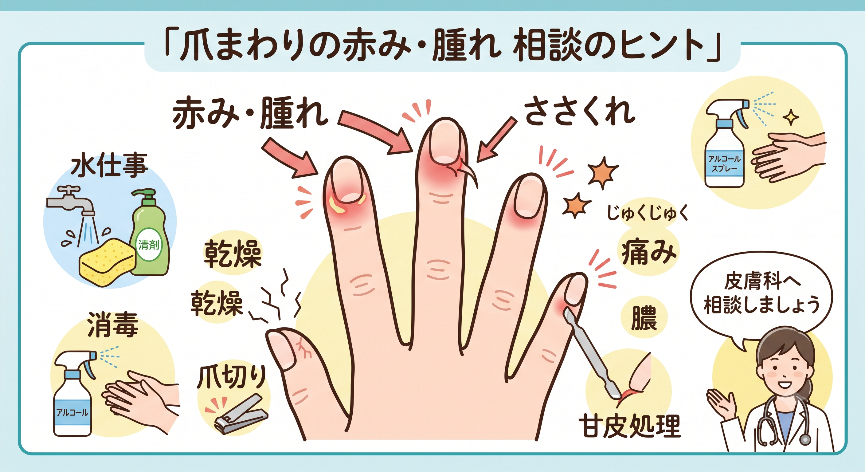 爪まわり