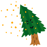 sugi
